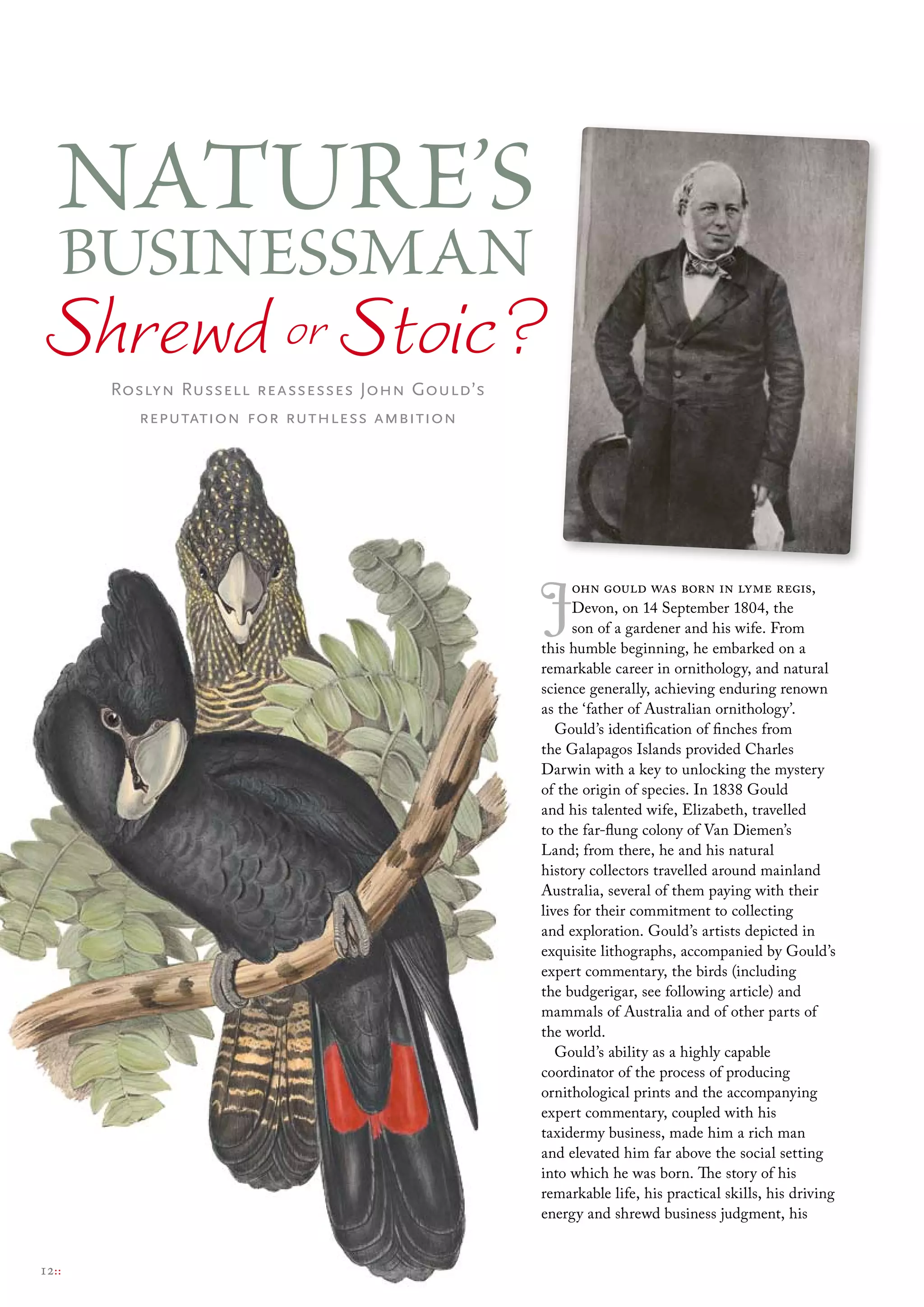 Nature’s
BusiNessmaN
Shrewd or Stoic?
       Roslyn Russell reassesses John Gould’s
         reputation for ruthless ambition




                                                J     ohn gould was born in lyme regis,
                                                      Devon, on 14 September 1804, the
                                                      son of a gardener and his wife. From
                                                this humble beginning, he embarked on a
                                                remarkable career in ornithology, and natural
                                                science generally, achieving enduring renown
                                                as the ‘father of Australian ornithology’.
                                                   Gould’s identification of finches from
                                                the Galapagos Islands provided Charles
                                                Darwin with a key to unlocking the mystery
                                                of the origin of species. In 1838 Gould
                                                and his talented wife, Elizabeth, travelled
                                                to the far-flung colony of Van Diemen’s
                                                Land; from there, he and his natural
                                                history collectors travelled around mainland
                                                Australia, several of them paying with their
                                                lives for their commitment to collecting
                                                and exploration. Gould’s artists depicted in
                                                exquisite lithographs, accompanied by Gould’s
                                                expert commentary, the birds (including
                                                the budgerigar, see following article) and
                                                mammals of Australia and of other parts of
                                                the world.
                                                   Gould’s ability as a highly capable
                                                coordinator of the process of producing
                                                ornithological prints and the accompanying
                                                expert commentary, coupled with his
                                                taxidermy business, made him a rich man
                                                and elevated him far above the social setting
                                                into which he was born. The story of his
                                                remarkable life, his practical skills, his driving
                                                energy and shrewd business judgment, his


12::
 