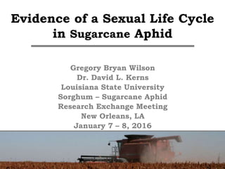 Evidence of a Sexual Life Cycle
in Sugarcane Aphid
Gregory Bryan Wilson
Dr. David L. Kerns
Louisiana State University
Sorghum – Sugarcane Aphid
Research Exchange Meeting
New Orleans, LA
January 7 – 8, 2016
 