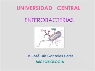 UNIVERSIDAD CENTRAL
Dr. José Luis Gonzales Flores
MICROBIOLOGIA
ENTEROBACTERIASENTEROBACTERIAS
 