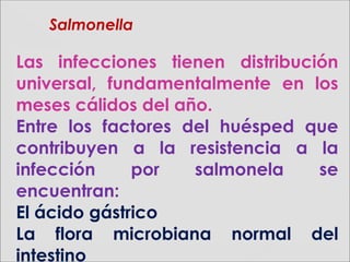 Las infecciones tienen distribución
universal, fundamentalmente en los
meses cálidos del año.
Entre los factores del huésped que
contribuyen a la resistencia a la
infección por salmonela se
encuentran:
El ácido gástrico
La flora microbiana normal del
intestino
SalmonellaSalmonella
 