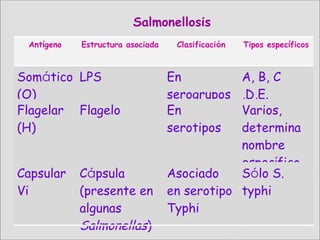 Antígeno Estructura asociada Clasificación Tipos específicos
Somático
(O)
LPS En
serogrupos
A, B, C
,D,E.
Flagelar
(H)
Flagelo En
serotipos
Varios,
determina
nombre
específico
Capsular
Vi
Cápsula
(presente en
algunas
Salmonellas)
Asociado
en serotipo
Typhi
Sólo S.
typhi
Salmonellosis
 