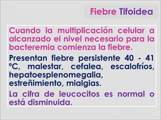 Cuando la multiplicación celular a
alcanzado el nivel necesario para la
bacteremia comienza la fiebre.
Presentan fiebre persistente 40 - 41
ºC, malestar, cefalea, escalofríos,
hepatoesplenomegalia,
estreñimiento, mialgias.
La cifra de leucocitos es normal o
está disminuida.
Fiebre Tifoidea
 