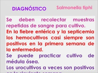 Salmonella tiphiDIAGNÓSTICO
Se deben recolectar muestras
repetidas de sangre para cultivo.
En la fiebre entérica y la septicemia
los hemocultivos casi siempre son
positivos en la primera semana de
la enfermedad.
Se puede practicar cultivo de
médula ósea.
Los urocultivos a veces son positivos
 