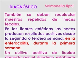 Salmonella tiphiDIAGNÓSTICO
También se deben recolectar
muestras repetidas de heces
fecales.
En las fiebres entéricas las heces
producen resultados positivos desde
la segunda o tercera semana; en la
enterocolitis, durante la primera
semana.
Un cultivo positivo de líquido
 