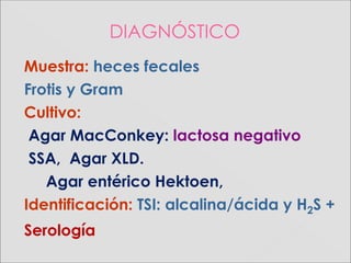 DIAGNÓSTICO
Muestra: heces fecales
Frotis y Gram
Cultivo:
Agar MacConkey: lactosa negativo
SSA, Agar XLD.
Agar entérico Hektoen,
Identificación: TSI: alcalina/ácida y H2S +
Serología
 