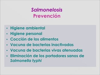 • Higiene ambiental
• Higiene personal
• Cocción de los alimentos
• Vacuna de bacterias inactivadas
• Vacuna de bacterias vivas atenuadas
• Eliminación de los portadores sanos de
Salmonella typhi
Salmonelosis
Prevención
 