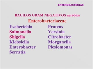 ENTEROBACTERIAS
Escheríchia Proteus
Salmonella Yersinia
Shigella Citrobacter
Klebsiella Morganella
Enterobacter Plesiomonas
Serratia
BACILOS GRAM NEGATIVOS aerobios
Enterobacteriaceae
 