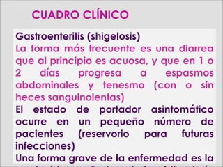 CUADROCUADRO CLÍNICOCLÍNICO
Gastroenteritis (shigelosis)
La forma más frecuente es una diarrea
que al principio es acuosa, y que en 1 o
2 días progresa a espasmos
abdominales y tenesmo (con o sin
heces sanguinolentas)
El estado de portador asintomático
ocurre en un pequeño número de
pacientes (reservorio para futuras
infecciones)
Una forma grave de la enfermedad es la
 