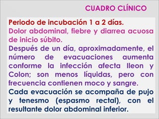 Periodo de incubación 1 a 2 días.
Dolor abdominal, fiebre y diarrea acuosa
de inicio súbito.
Después de un día, aproximadamente, el
número de evacuaciones aumenta
conforme la infección afecta Ileon y
Colon; son menos líquidas, pero con
frecuencia contienen moco y sangre.
Cada evacuación se acompaña de pujo
y tenesmo (espasmo rectal), con el
resultante dolor abdominal inferior.
CUADROCUADRO CLÍNICOCLÍNICO
 