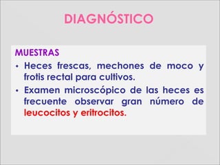 MUESTRAS
• Heces frescas, mechones de moco y
frotis rectal para cultivos.
• Examen microscópico de las heces es
frecuente observar gran número de
leucocitos y eritrocitos.
DIAGNÓSTICO
 