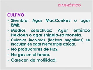 CULTIVO
• Siembra: Agar MacConkey o agar
EMB.
• Medios selectivos: Agar entérico
Hektoen o agar shigela-salmonela.
• Colonias incoloras (lactosa negativas) se
inoculan en agar hierro triple azúcar.
• No productores de H2S.
• No gas en el fondo.
• Carecen de motilidad.
DIAGNÓSTICO
 