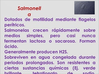 Dotados de motilidad mediante flagelos
perítricos.
Salmonelas crecen rápidamente sobre
medios simples, pero casi nunca
fermentan lactosa o sacarosa. Forman
ácido.
Generalmente producen H2S.
Sobreviven en agua congelada durante
periodos prolongados. Son resistentes a
ciertas sustancias químicas (Ej. verde
SalmonellSalmonell
aa
 