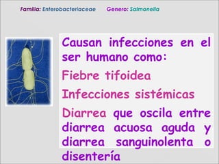 Causan infecciones en el
ser humano como:
Fiebre tifoidea
Infecciones sistémicas
Diarrea que oscila entre
diarrea acuosa aguda y
diarrea sanguinolenta o
disentería
Familia:Familia: EnterobacteriaceaeEnterobacteriaceae Genero:Genero: SalmonellaSalmonella
 