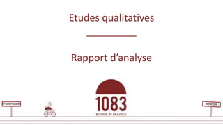 Etudes qualitatives
_________
Rapport d’analyse
 