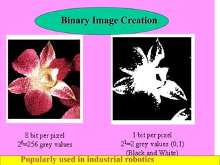 Binary Image Creation
Popularly used in industrial robotics
 