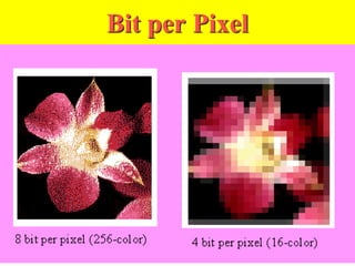 Bit per Pixel
 