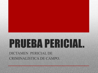 PRUEBA PERICIAL.
DICTAMEN PERICIAL DE
CRIMINALISTICA DE CAMPO.
 