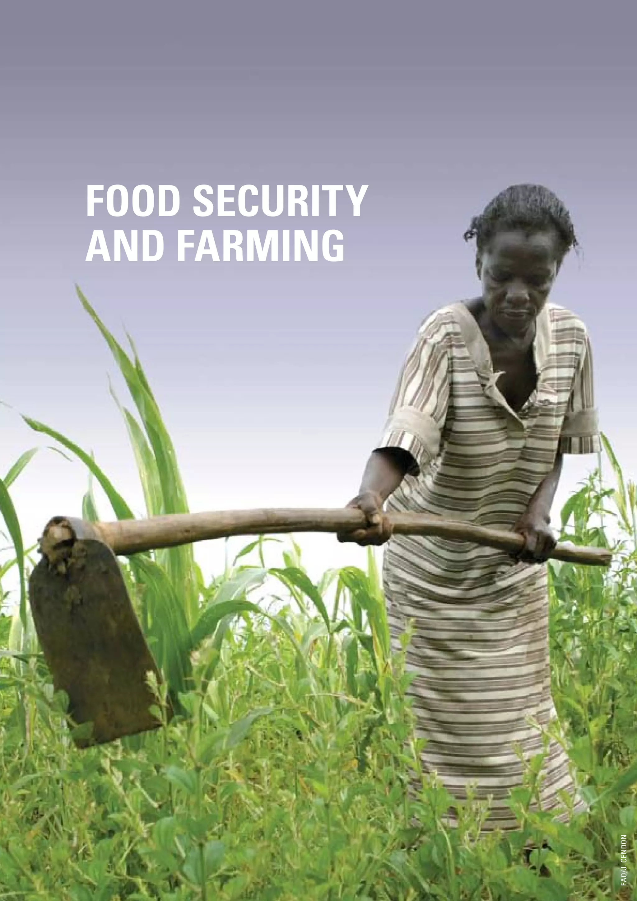 FOOD SECURITY
    AND FARMING




                    FAO/J. CENDON




8
 