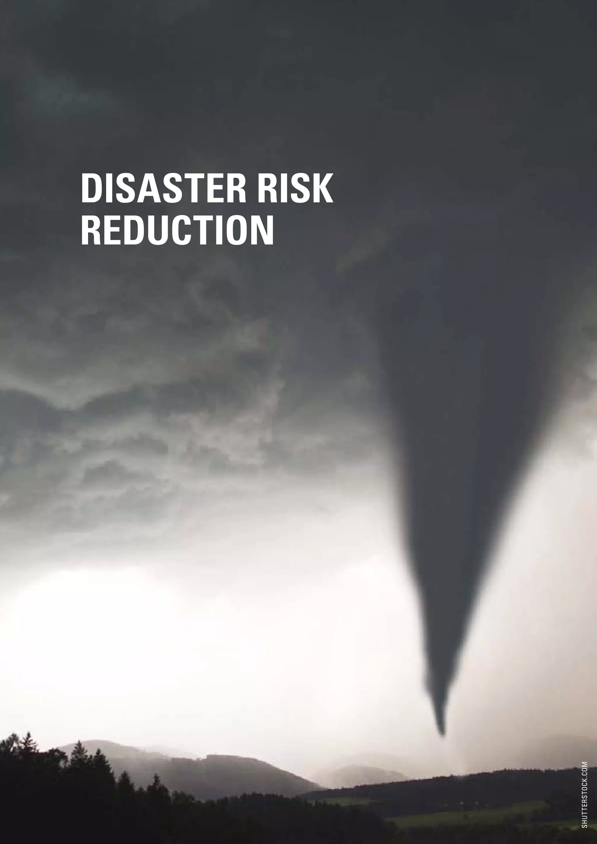 DISASTER RISK
     REDUCTION




                     SHUTTERSTOCK.COM




20
 