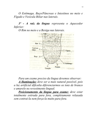 O Estômago, Baço/Pâncreas e Intestinos no meio e
Fígado e Vesícula Biliar nas laterais.
3º - A raiz da língua representa o Aquecedor
Inferior:
O Rim no meio e a Bexiga nas laterais.
Para um exame preciso da língua devemos observar:
A Iluminação: deve ser a mais natural possível, pois
a luz artificial dificulta diferenciarmos os tons de branco
e amarelo no revestimento lingual.
Posicionamento da língua para exame: deve estar
totalmente estirada para fora, completamente relaxada
sem contrai-la nem força-la muito para fora.
11
 
