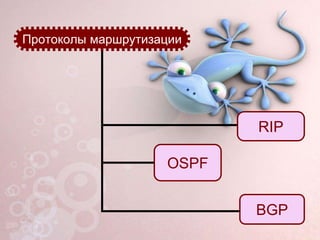 Протоколы маршрутизации
RIP
OSPF
BGP
 