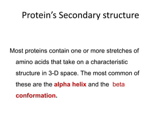 Protein’s Secondary structure
Most proteins contain one or more stretches of
amino acids that take on a characteristic
structure in 3-D space. The most common of
these are the alpha helix and the beta
conformation.
 