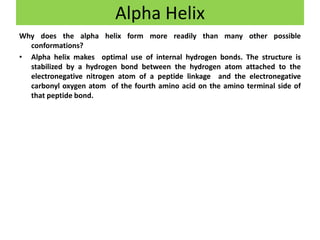 Why does the alpha helix form more readily than many other possible
conformations?
• Alpha helix makes optimal use of internal hydrogen bonds. The structure is
stabilized by a hydrogen bond between the hydrogen atom attached to the
electronegative nitrogen atom of a peptide linkage and the electronegative
carbonyl oxygen atom of the fourth amino acid on the amino terminal side of
that peptide bond.
Alpha Helix
 