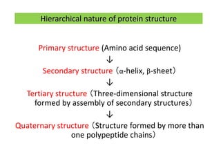 Hierarchical nature of protein structure
Primary structure (Amino acid sequence)
↓
Secondary structure （α-helix, β-sheet）
↓
Tertiary structure （Three-dimensional structure
formed by assembly of secondary structures）
↓
Quaternary structure （Structure formed by more than
one polypeptide chains）
 