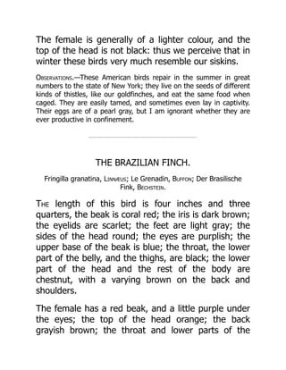 The female is generally of a lighter colour, and the
top of the head is not black: thus we perceive that in
winter these birds very much resemble our siskins.
Observations.—These American birds repair in the summer in great
numbers to the state of New York; they live on the seeds of different
kinds of thistles, like our goldfinches, and eat the same food when
caged. They are easily tamed, and sometimes even lay in captivity.
Their eggs are of a pearl gray, but I am ignorant whether they are
ever productive in confinement.
THE BRAZILIAN FINCH.
Fringilla granatina, Linnæus; Le Grenadin, Buffon; Der Brasilische
Fink, Bechstein.
The length of this bird is four inches and three
quarters, the beak is coral red; the iris is dark brown;
the eyelids are scarlet; the feet are light gray; the
sides of the head round; the eyes are purplish; the
upper base of the beak is blue; the throat, the lower
part of the belly, and the thighs, are black; the lower
part of the head and the rest of the body are
chestnut, with a varying brown on the back and
shoulders.
The female has a red beak, and a little purple under
the eyes; the top of the head orange; the back
grayish brown; the throat and lower parts of the
 