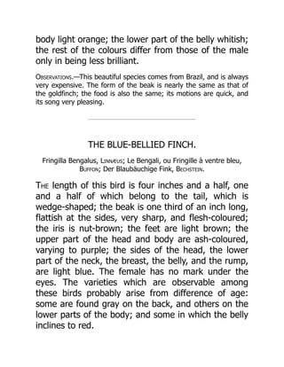 body light orange; the lower part of the belly whitish;
the rest of the colours differ from those of the male
only in being less brilliant.
Observations.—This beautiful species comes from Brazil, and is always
very expensive. The form of the beak is nearly the same as that of
the goldfinch; the food is also the same; its motions are quick, and
its song very pleasing.
THE BLUE-BELLIED FINCH.
Fringilla Bengalus, Linnæus; Le Bengali, ou Fringille à ventre bleu,
Buffon; Der Blaubäuchige Fink, Bechstein.
The length of this bird is four inches and a half, one
and a half of which belong to the tail, which is
wedge-shaped; the beak is one third of an inch long,
flattish at the sides, very sharp, and flesh-coloured;
the iris is nut-brown; the feet are light brown; the
upper part of the head and body are ash-coloured,
varying to purple; the sides of the head, the lower
part of the neck, the breast, the belly, and the rump,
are light blue. The female has no mark under the
eyes. The varieties which are observable among
these birds probably arise from difference of age:
some are found gray on the back, and others on the
lower parts of the body; and some in which the belly
inclines to red.
 