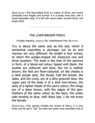 Observations.—The blue-bellied finch is a native of Africa, and comes
principally from Angola and Guinea: it is a pretty lively bird, with a
sweet agreeable song. It is fed with canary-seed, bruised hemp, and
poppy-seed.
THE LIVER-BROWN FINCH.
Fringilla hepatica, Linnæus; Der Leberfarbene Fink, Bechstein.
This is about the same size as the last, which it
somewhat resembles in plumage; but its air and
manner are very different. Its length is four inches,
of which the wedge-shaped tail measures one and
three quarters. The beak is like that of the sparrow
in form, of a blood-red colour, tipped with black; the
eyelids are yellowish and bare; the iris is reddish
brown; the feet are flesh-coloured; on the cheeks is
a dark purple spot; the throat, half the breast, the
sides, and the rump, are of a dirty greenish blue: the
upper part of the body is of a dark liver-brown, the
belly of a lighter shade of the same colour; the wings
are of a deep brown, with the edges of the pen-
feathers of the same colour as the back; the under
side tending to blue, with black tips. I do not know
the female.
Observations.—This species inhabits the shores of Africa; it is very
lively, and its call is “tzä.” Its weak but sweet song resembles that of
 