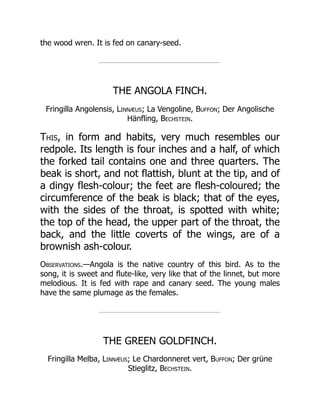 the wood wren. It is fed on canary-seed.
THE ANGOLA FINCH.
Fringilla Angolensis, Linnæus; La Vengoline, Buffon; Der Angolische
Hänfling, Bechstein.
This, in form and habits, very much resembles our
redpole. Its length is four inches and a half, of which
the forked tail contains one and three quarters. The
beak is short, and not flattish, blunt at the tip, and of
a dingy flesh-colour; the feet are flesh-coloured; the
circumference of the beak is black; that of the eyes,
with the sides of the throat, is spotted with white;
the top of the head, the upper part of the throat, the
back, and the little coverts of the wings, are of a
brownish ash-colour.
Observations.—Angola is the native country of this bird. As to the
song, it is sweet and flute-like, very like that of the linnet, but more
melodious. It is fed with rape and canary seed. The young males
have the same plumage as the females.
THE GREEN GOLDFINCH.
Fringilla Melba, Linnæus; Le Chardonneret vert, Buffon; Der grüne
Stieglitz, Bechstein.
 