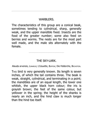 WARBLERS.
The characteristics of this group are a conical beak,
sometimes tending to cylindrical, sharp, generally
weak, and the upper mandible fixed. Insects are the
food of the greater number; some also feed on
berries and worms. The nests are for the most part
well made, and the male sits alternately with the
female.
THE SKY-LARK.
Alauda arvensis, Linnæus; L’Llouette, Buffon; Die Felderche, Bechstein.
This bird is very generally known. Its length is seven
inches, of which the tail contains three. The beak is
weak, straight, cylindrical, and terminating in a point;
the mandibles are of an equal length, the lower one
whitish, the upper black horn colour; the iris is
grayish brown; the feet of the same colour, but
yellower in the spring; the height of the shanks is
nearly an inch, and the hind claw is much longer
than the hind toe itself.
 