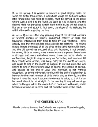 If, in the spring, it is wished to procure a good singing male, for
some are better than others, a lark whose wings are tied, and with a
little forked lime-twig fixed to its back, must be carried to the place
where such a bird is to be found. As soon as it is let loose, and the
desired male has perceived it from high in the air, he will fall upon it
like an arrow and attack it; but soon, the dupe of his jealousy, he
will find himself caught by the lime.
Attractive Qualities.—The very pleasing song of the sky-lark consists
of several stanzas or strains, composed entirely of trills and
flourishes, interrupted from time to time by loud whistling. I have
already said that the lark has great abilities for learning. The young
readily imitate the notes of all the birds in the same room with them,
and the old sometimes succeed also: this, however, is not general;
for among birds as among men, memories vary in power. Some have
a stronger and more melodious voice; there are some which, in
confinement, begin to sing as early as December, and continue till
they moult; while others, less lively, delay till the month of March,
and cease to sing in the month of August. In its wild state, the lark
begins to sing in the first fine days of spring, the season of pairing,
and ceases at the end of July; this, however, is not without
exceptions, as some individuals continue till the end of September. It
belongs to the small number of birds which sing as they fly, and the
higher it rises the more it appears to elevate its voice, so that it may
be heard when it is out of sight. In the country, it very seldom sings
when on the ground; in the room it often does, and with ease, and it
becomes so tame as to come and eat from the table or the hand.
THE CRESTED LARK.
Alauda cristata, Linnæus; Le Cochevis, ou la grosse Alouette huppée;
Die Haubenlerche, Bechstein.
 