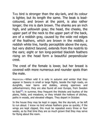 This bird is stronger than the sky-lark, and its colour
is lighter, but its length the same. The beak is lead-
coloured, and brown at the point, is also rather
longer; the iris is dark brown. The shanks are an inch
high, and yellowish gray; the head, the cheeks, the
upper part of the neck to the upper part of the back,
are of a reddish gray, caused by the wide red edges
of the feathers, which are brown in the middle; a
reddish white line, hardly perceptible above the eyes,
but very distinct beyond, extends from the nostrils to
the ears; eight or ten long-pointed blackish feathers
rising on the head form a beautiful perpendicular
crest.
The crest of the female is lower, but her breast is
covered with more numerous and rounder spots than
the male.
Habitation.—When wild it is only in autumn and winter that they
appear in Saxony in small or large flights, beside the high roads, on
dunghills, near barns and stables, among sparrows and
yellowhammers; they are also found all over Europe, from Sweden
to Italy62; in summer, they frequent the thickets and bushes of the
plains, fields, and meadows, or they inhabit the hollows of ditches,
paths in woods, and elevated villages. They depart in October.
In the house they may be kept in cages, like the sky-lark, or be left
to run about. I know no bird whose feathers grow so quickly; if the
wings are kept clipped, this must be repeated every three or four
weeks, as by that time they are so much grown that they may serve
for flying about the room.
 