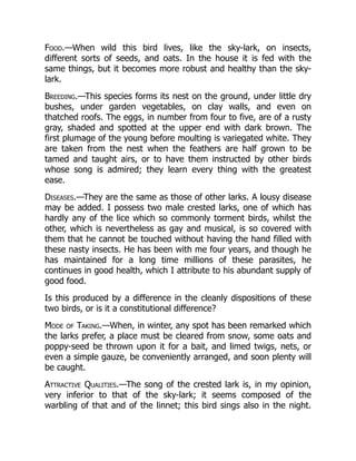 Food.—When wild this bird lives, like the sky-lark, on insects,
different sorts of seeds, and oats. In the house it is fed with the
same things, but it becomes more robust and healthy than the sky-
lark.
Breeding.—This species forms its nest on the ground, under little dry
bushes, under garden vegetables, on clay walls, and even on
thatched roofs. The eggs, in number from four to five, are of a rusty
gray, shaded and spotted at the upper end with dark brown. The
first plumage of the young before moulting is variegated white. They
are taken from the nest when the feathers are half grown to be
tamed and taught airs, or to have them instructed by other birds
whose song is admired; they learn every thing with the greatest
ease.
Diseases.—They are the same as those of other larks. A lousy disease
may be added. I possess two male crested larks, one of which has
hardly any of the lice which so commonly torment birds, whilst the
other, which is nevertheless as gay and musical, is so covered with
them that he cannot be touched without having the hand filled with
these nasty insects. He has been with me four years, and though he
has maintained for a long time millions of these parasites, he
continues in good health, which I attribute to his abundant supply of
good food.
Is this produced by a difference in the cleanly dispositions of these
two birds, or is it a constitutional difference?
Mode of Taking.—When, in winter, any spot has been remarked which
the larks prefer, a place must be cleared from snow, some oats and
poppy-seed be thrown upon it for a bait, and limed twigs, nets, or
even a simple gauze, be conveniently arranged, and soon plenty will
be caught.
Attractive Qualities.—The song of the crested lark is, in my opinion,
very inferior to that of the sky-lark; it seems composed of the
warbling of that and of the linnet; this bird sings also in the night.
 