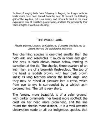 Its time of singing lasts from February to August, but longer in those
birds which have been tamed from the nest. It has not the tottering
gait of the sky-lark, but runs nimbly, and moves its crest in the most
expressive way. It is rather quarrelsome, and has the peculiarity that
when it fights it continues to sing.
THE WOOD-LARK.
Alauda arborea, Linnæus; Le Cujelier, ou L’Llouette des Bois, ou La
Loulou, Buffon; Die Waldlerche, Bechstein.
This charming species is one-third smaller than the
field-lark, and resembles it much in form and gait.
The beak is black above, brown below, tending to
carnation at the tip. The shanks, three quarters of an
inch high, are of a brownish flesh-colour. The top of
the head is reddish brown, with four dark brown
lines; its long feathers render the head large, and
they may be raised at pleasure into a crest, which
from eye to eye is surrounded by a whitish ash-
coloured line. The tail is very short.
The female, more beautiful, is of a paler ground,
with darker ornaments; her breast more spotted; the
crest on her head more prominent, and the line
round the cheeks more distinct. It is a well attested
observation made on all our indigenous species, that
 