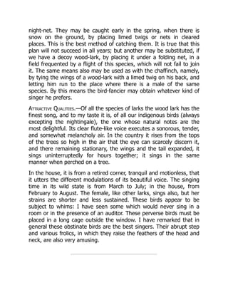 night-net. They may be caught early in the spring, when there is
snow on the ground, by placing limed twigs or nets in cleared
places. This is the best method of catching them. It is true that this
plan will not succeed in all years; but another may be substituted, if
we have a decoy wood-lark, by placing it under a folding net, in a
field frequented by a flight of this species, which will not fail to join
it. The same means also may be used as with the chaffinch, namely,
by tying the wings of a wood-lark with a limed twig on his back, and
letting him run to the place where there is a male of the same
species. By this means the bird-fancier may obtain whatever kind of
singer he prefers.
Attractive Qualities.—Of all the species of larks the wood lark has the
finest song, and to my taste it is, of all our indigenous birds (always
excepting the nightingale), the one whose natural notes are the
most delightful. Its clear flute-like voice executes a sonorous, tender,
and somewhat melancholy air. In the country it rises from the tops
of the trees so high in the air that the eye can scarcely discern it,
and there remaining stationary, the wings and the tail expanded, it
sings uninterruptedly for hours together; it sings in the same
manner when perched on a tree.
In the house, it is from a retired corner, tranquil and motionless, that
it utters the different modulations of its beautiful voice. The singing
time in its wild state is from March to July; in the house, from
February to August. The female, like other larks, sings also, but her
strains are shorter and less sustained. These birds appear to be
subject to whims: I have seen some which would never sing in a
room or in the presence of an auditor. These perverse birds must be
placed in a long cage outside the window. I have remarked that in
general these obstinate birds are the best singers. Their abrupt step
and various frolics, in which they raise the feathers of the head and
neck, are also very amusing.
 