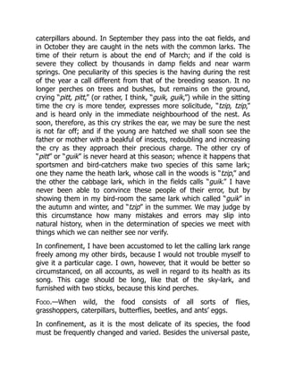 caterpillars abound. In September they pass into the oat fields, and
in October they are caught in the nets with the common larks. The
time of their return is about the end of March; and if the cold is
severe they collect by thousands in damp fields and near warm
springs. One peculiarity of this species is the having during the rest
of the year a call different from that of the breeding season. It no
longer perches on trees and bushes, but remains on the ground,
crying “pitt, pitt,” (or rather, I think, “guik, guik,”) while in the sitting
time the cry is more tender, expresses more solicitude, “tzip, tzip,”
and is heard only in the immediate neighbourhood of the nest. As
soon, therefore, as this cry strikes the ear, we may be sure the nest
is not far off; and if the young are hatched we shall soon see the
father or mother with a beakful of insects, redoubling and increasing
the cry as they approach their precious charge. The other cry of
“pitt” or “guik” is never heard at this season; whence it happens that
sportsmen and bird-catchers make two species of this same lark;
one they name the heath lark, whose call in the woods is “tzip,” and
the other the cabbage lark, which in the fields calls “guik.” I have
never been able to convince these people of their error, but by
showing them in my bird-room the same lark which called “guik” in
the autumn and winter, and “tzip” in the summer. We may judge by
this circumstance how many mistakes and errors may slip into
natural history, when in the determination of species we meet with
things which we can neither see nor verify.
In confinement, I have been accustomed to let the calling lark range
freely among my other birds, because I would not trouble myself to
give it a particular cage. I own, however, that it would be better so
circumstanced, on all accounts, as well in regard to its health as its
song. This cage should be long, like that of the sky-lark, and
furnished with two sticks, because this kind perches.
Food.—When wild, the food consists of all sorts of flies,
grasshoppers, caterpillars, butterflies, beetles, and ants’ eggs.
In confinement, as it is the most delicate of its species, the food
must be frequently changed and varied. Besides the universal paste,
 