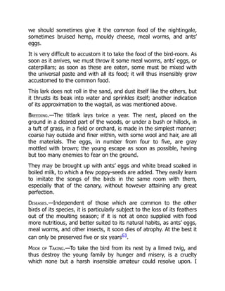 we should sometimes give it the common food of the nightingale,
sometimes bruised hemp, mouldy cheese, meal worms, and ants’
eggs.
It is very difficult to accustom it to take the food of the bird-room. As
soon as it arrives, we must throw it some meal worms, ants’ eggs, or
caterpillars; as soon as these are eaten, some must be mixed with
the universal paste and with all its food; it will thus insensibly grow
accustomed to the common food.
This lark does not roll in the sand, and dust itself like the others, but
it thrusts its beak into water and sprinkles itself; another indication
of its approximation to the wagtail, as was mentioned above.
Breeding.—The titlark lays twice a year. The nest, placed on the
ground in a cleared part of the woods, or under a bush or hillock, in
a tuft of grass, in a field or orchard, is made in the simplest manner;
coarse hay outside and finer within, with some wool and hair, are all
the materials. The eggs, in number from four to five, are gray
mottled with brown; the young escape as soon as possible, having
but too many enemies to fear on the ground.
They may be brought up with ants’ eggs and white bread soaked in
boiled milk, to which a few poppy-seeds are added. They easily learn
to imitate the songs of the birds in the same room with them,
especially that of the canary, without however attaining any great
perfection.
Diseases.—Independent of those which are common to the other
birds of its species, it is particularly subject to the loss of its feathers
out of the moulting season; if it is not at once supplied with food
more nutritious, and better suited to its natural habits, as ants’ eggs,
meal worms, and other insects, it soon dies of atrophy. At the best it
can only be preserved five or six years63.
Mode of Taking.—To take the bird from its nest by a limed twig, and
thus destroy the young family by hunger and misery, is a cruelty
which none but a harsh insensible amateur could resolve upon. I
 