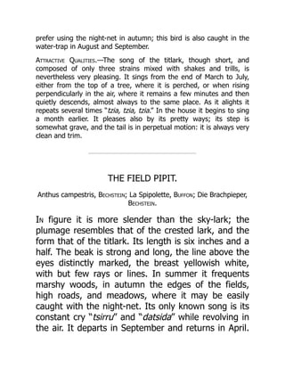 prefer using the night-net in autumn; this bird is also caught in the
water-trap in August and September.
Attractive Qualities.—The song of the titlark, though short, and
composed of only three strains mixed with shakes and trills, is
nevertheless very pleasing. It sings from the end of March to July,
either from the top of a tree, where it is perched, or when rising
perpendicularly in the air, where it remains a few minutes and then
quietly descends, almost always to the same place. As it alights it
repeats several times “tzia, tzia, tzia.” In the house it begins to sing
a month earlier. It pleases also by its pretty ways; its step is
somewhat grave, and the tail is in perpetual motion: it is always very
clean and trim.
THE FIELD PIPIT.
Anthus campestris, Bechstein; La Spipolette, Buffon; Die Brachpieper,
Bechstein.
In figure it is more slender than the sky-lark; the
plumage resembles that of the crested lark, and the
form that of the titlark. Its length is six inches and a
half. The beak is strong and long, the line above the
eyes distinctly marked, the breast yellowish white,
with but few rays or lines. In summer it frequents
marshy woods, in autumn the edges of the fields,
high roads, and meadows, where it may be easily
caught with the night-net. Its only known song is its
constant cry “tsirru” and “datsida” while revolving in
the air. It departs in September and returns in April.
 