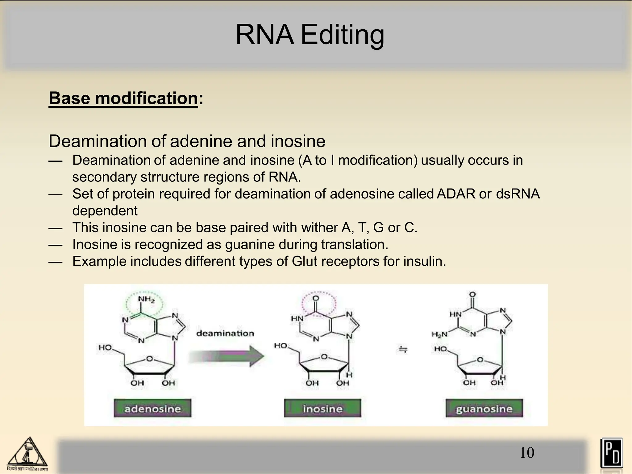 RNA Editing
Base modification:
Deamination of adenine and inosine
— Deamination of adenine and inosine (A to I modification) usually occurs in
secondary strructure regions of RNA.
— Set of protein required for deamination of adenosine called ADAR or dsRNA
dependent
— This inosine can be base paired with wither A, T, G or C.
— Inosine is recognized as guanine during translation.
— Example includes different types of Glut receptors for insulin.
10
 