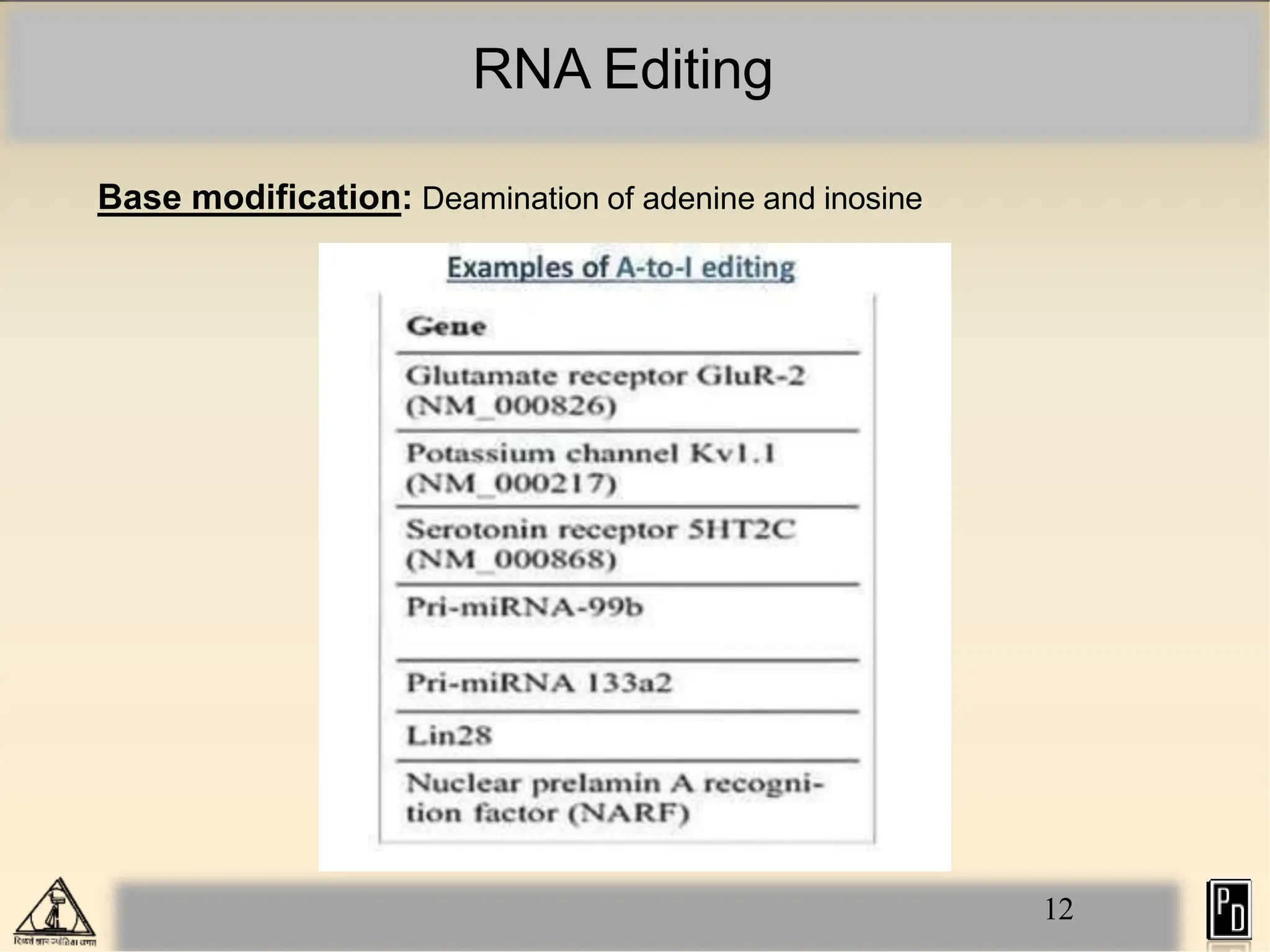 RNA Editing
Base modification: Deamination of adenine and inosine
12
 