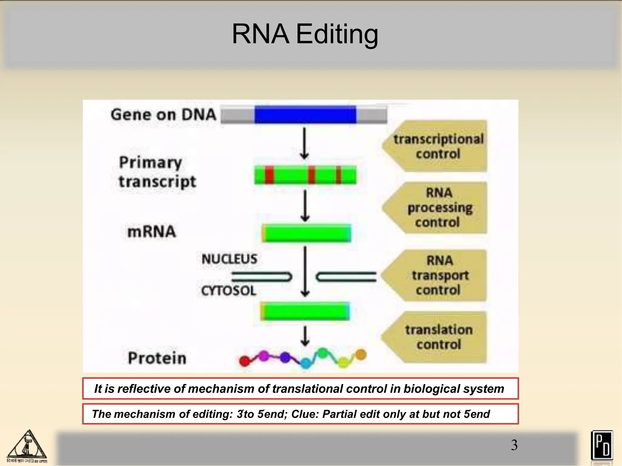 RNA Editing
It is reflective of mechanism of translational control in biological system
3
The mechanism of editing: 3
´to 5
´end; Clue: Partial edit only at but not 5
´end
 