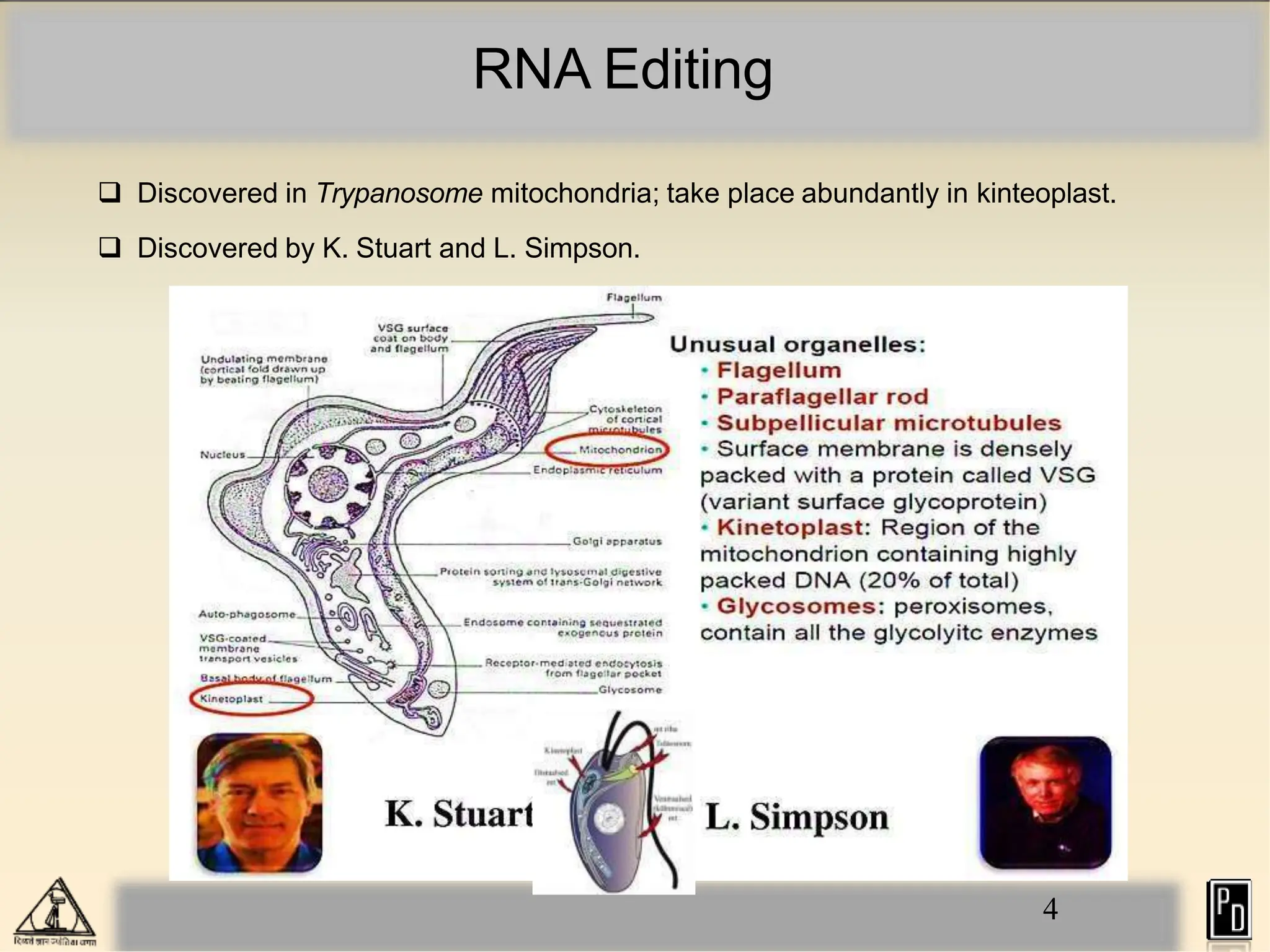 RNA Editing
 Discovered in Trypanosome mitochondria; take place abundantly in kinteoplast.
 Discovered by K. Stuart and L. Simpson.
4
 