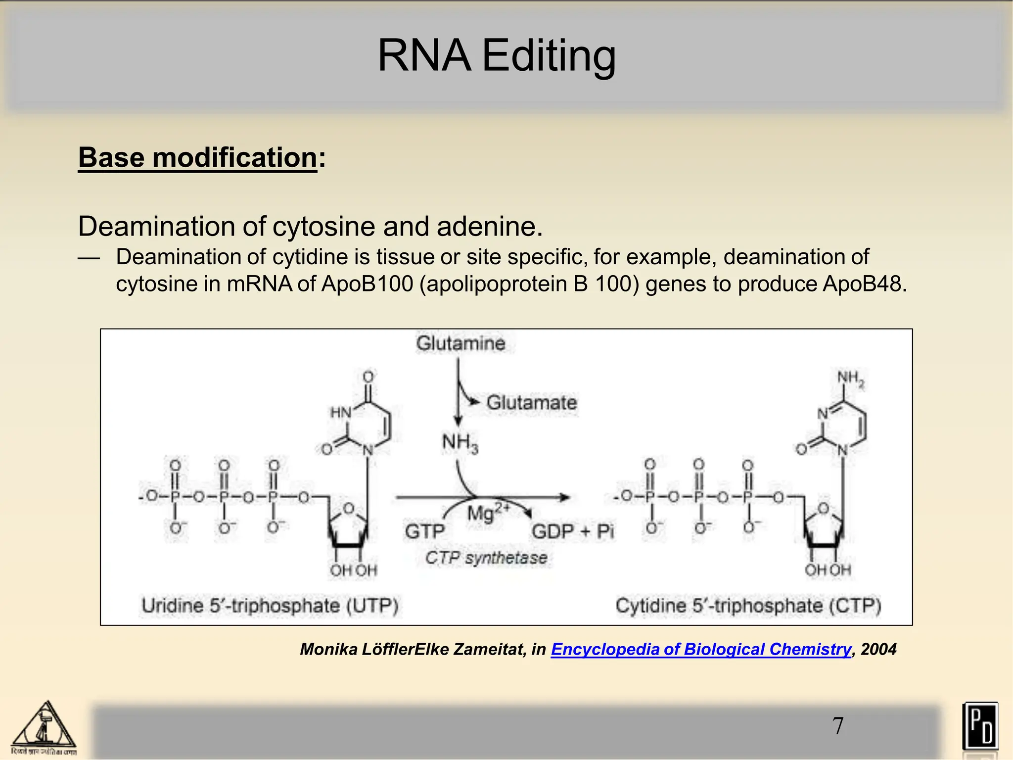 RNA Editing
Base modification:
Deamination of cytosine and adenine.
— Deamination of cytidine is tissue or site specific, for example, deamination of
cytosine in mRNA of ApoB100 (apolipoprotein B 100) genes to produce ApoB48.
Monika LöfflerElke Zameitat, in Encyclopedia of Biological Chemistry, 2004
7
 