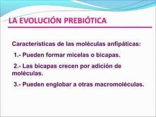 Características de las moléculas anfipáticas:
1.- Pueden formar micelas o bicapas.
2.- Las bicapas crecen por adición de
moléculas.
3.- Pueden englobar a otras macromoléculas.
 