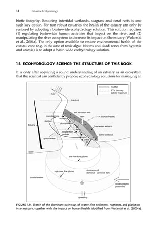 Estuarine Ecohydrology 1st Edition Eric Wolanski | PDF