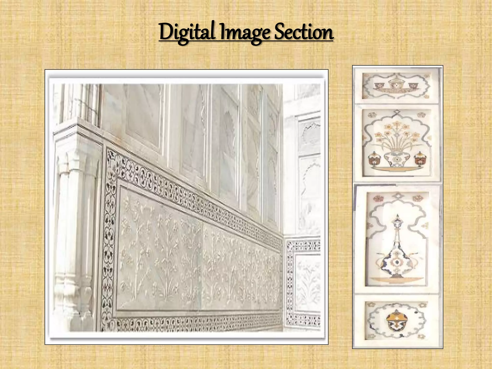 Digital Image Section
 