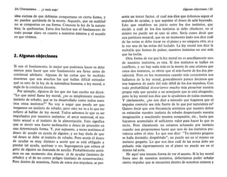 Cristianismo-y-nada-mas